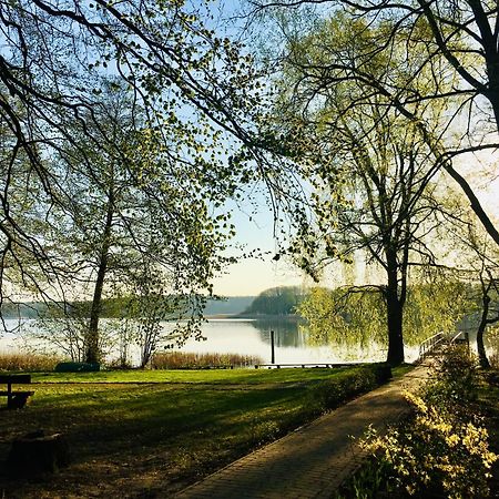 Waldschenke Stendenitz Uebernachten Im Wald Am See นอยรุพพิน ภายนอก รูปภาพ
