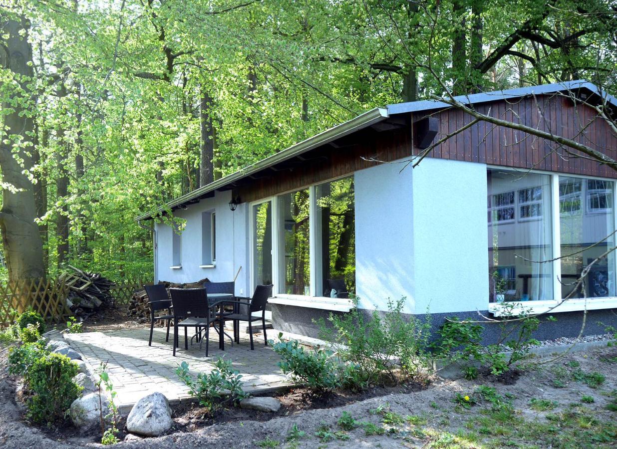 Waldschenke Stendenitz Uebernachten Im Wald Am See นอยรุพพิน ภายนอก รูปภาพ